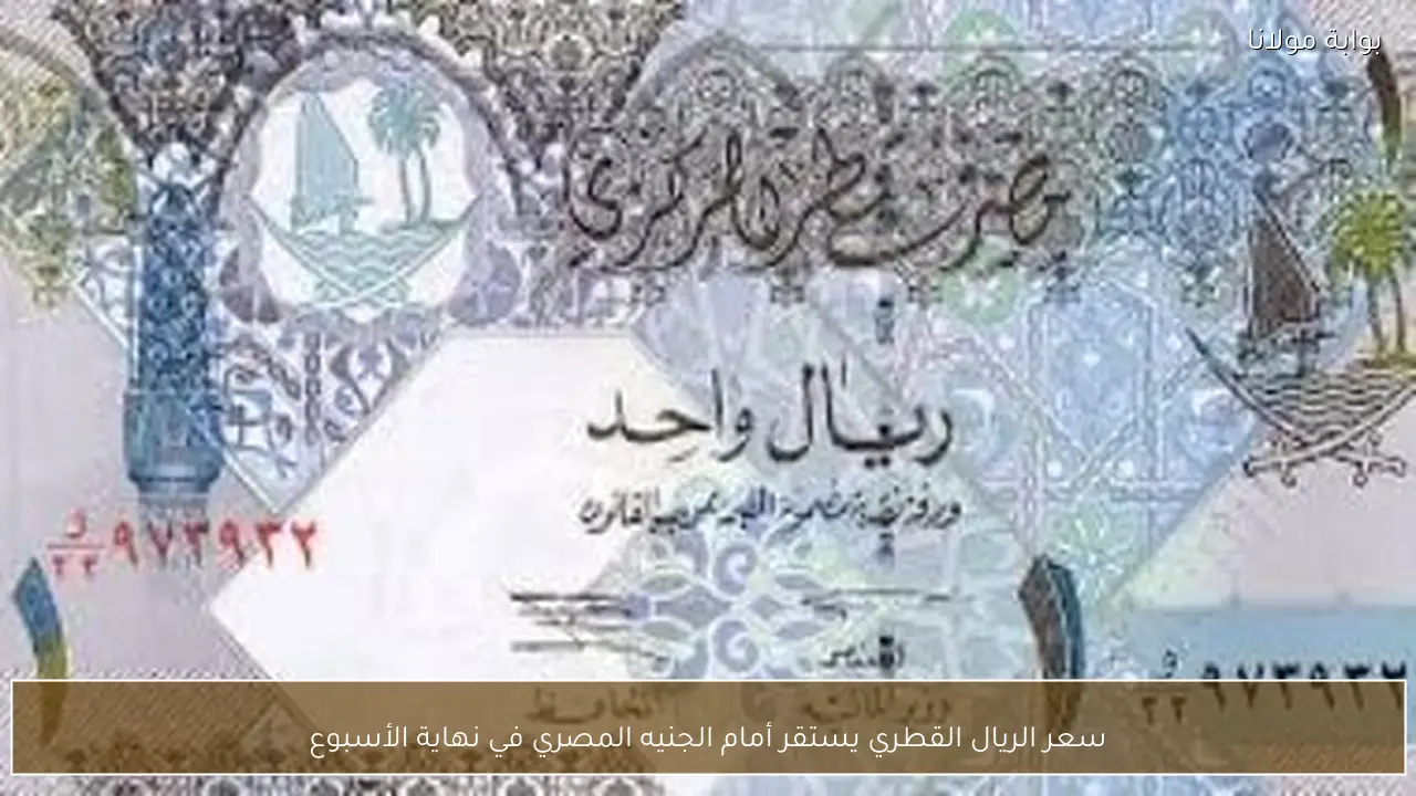 سعر الريال القطري يستقر أمام الجنيه المصري في نهاية الأسبوع