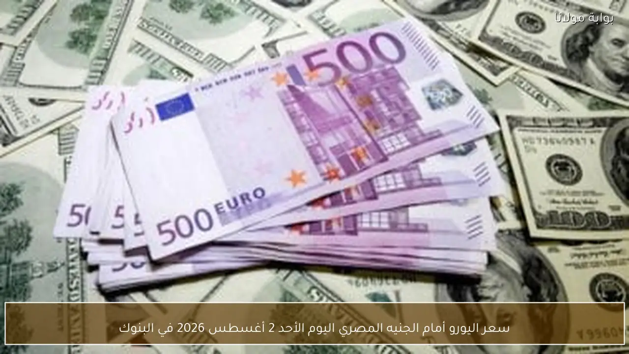 سعر اليورو أمام الجنيه المصري اليوم الأحد 2 أغسطس 2026 في البنوك