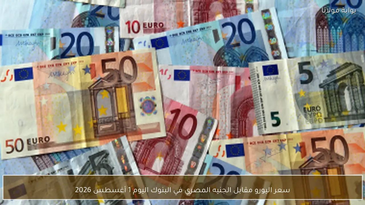 سعر اليورو مقابل الجنيه المصري في البنوك اليوم 1 أغسطس 2026