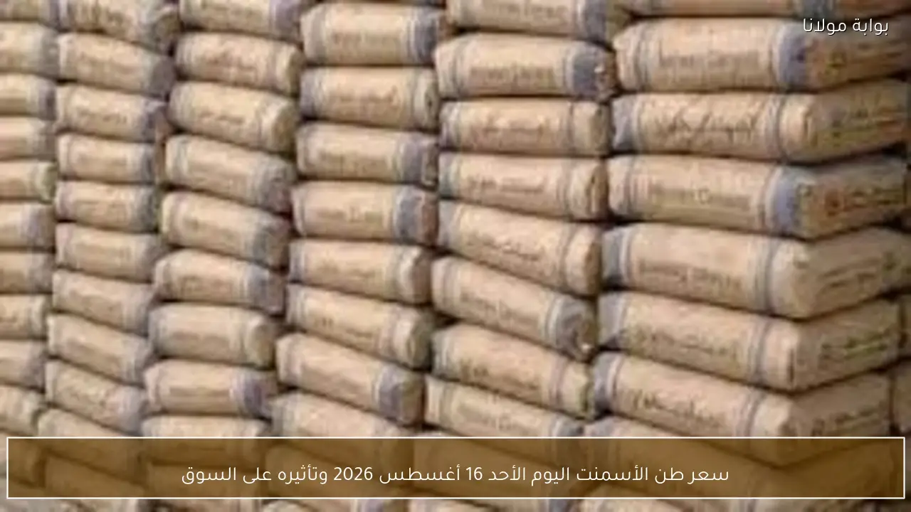 سعر طن الأسمنت اليوم الأحد 16 أغسطس 2026 وتأثيره على السوق