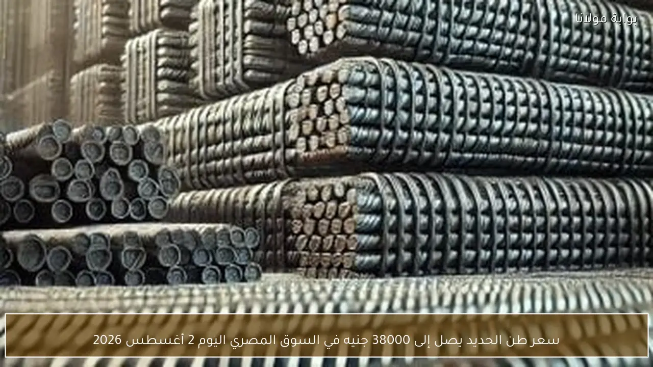 سعر طن الحديد يصل إلى 38000 جنيه في السوق المصري اليوم 2 أغسطس 2026