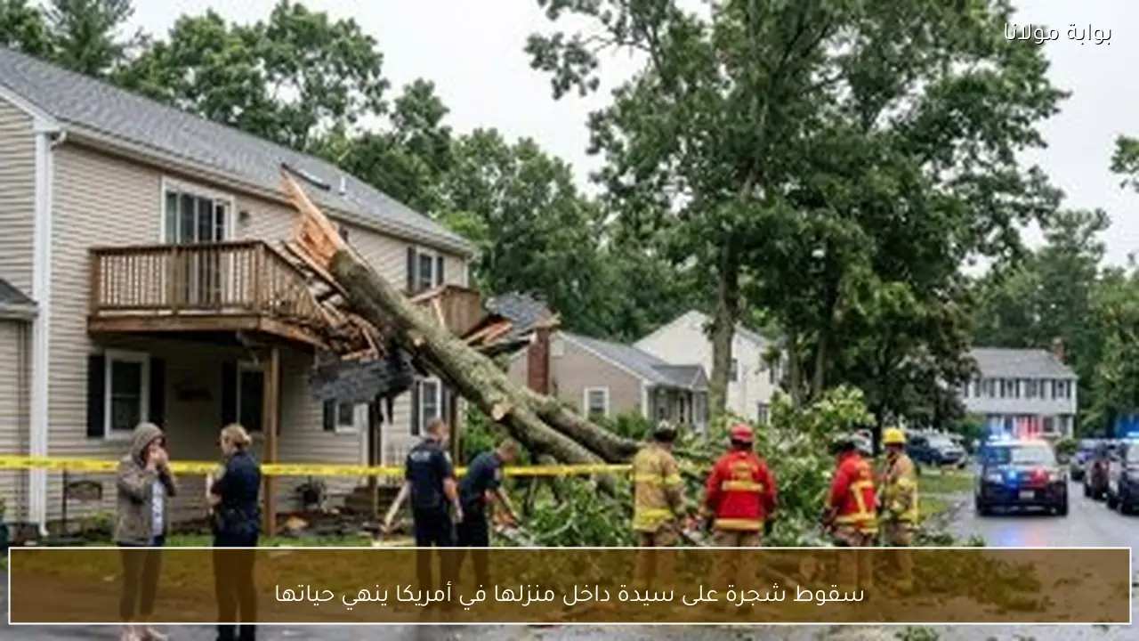 سقوط شجرة على سيدة داخل منزلها في أمريكا ينهي حياتها