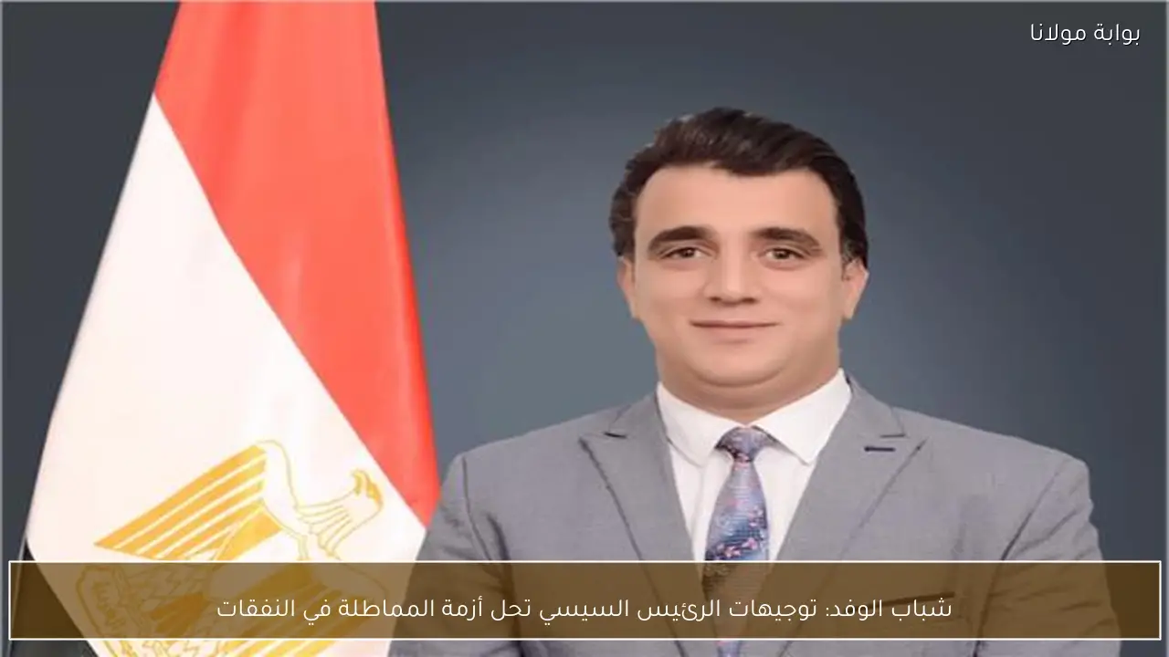 شباب الوفد: توجيهات الرئيس السيسي تحل أزمة المماطلة في النفقات