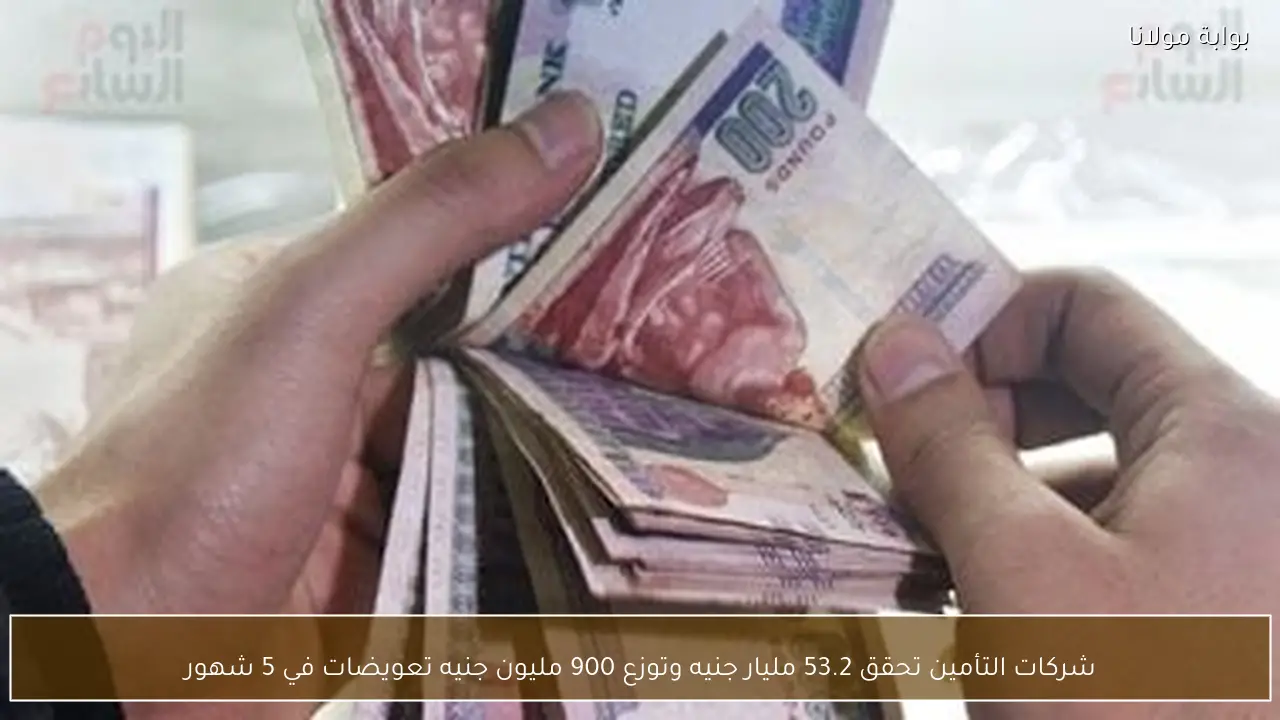 شركات التأمين تحقق 53.2 مليار جنيه وتوزع 900 مليون جنيه تعويضات في 5 شهور