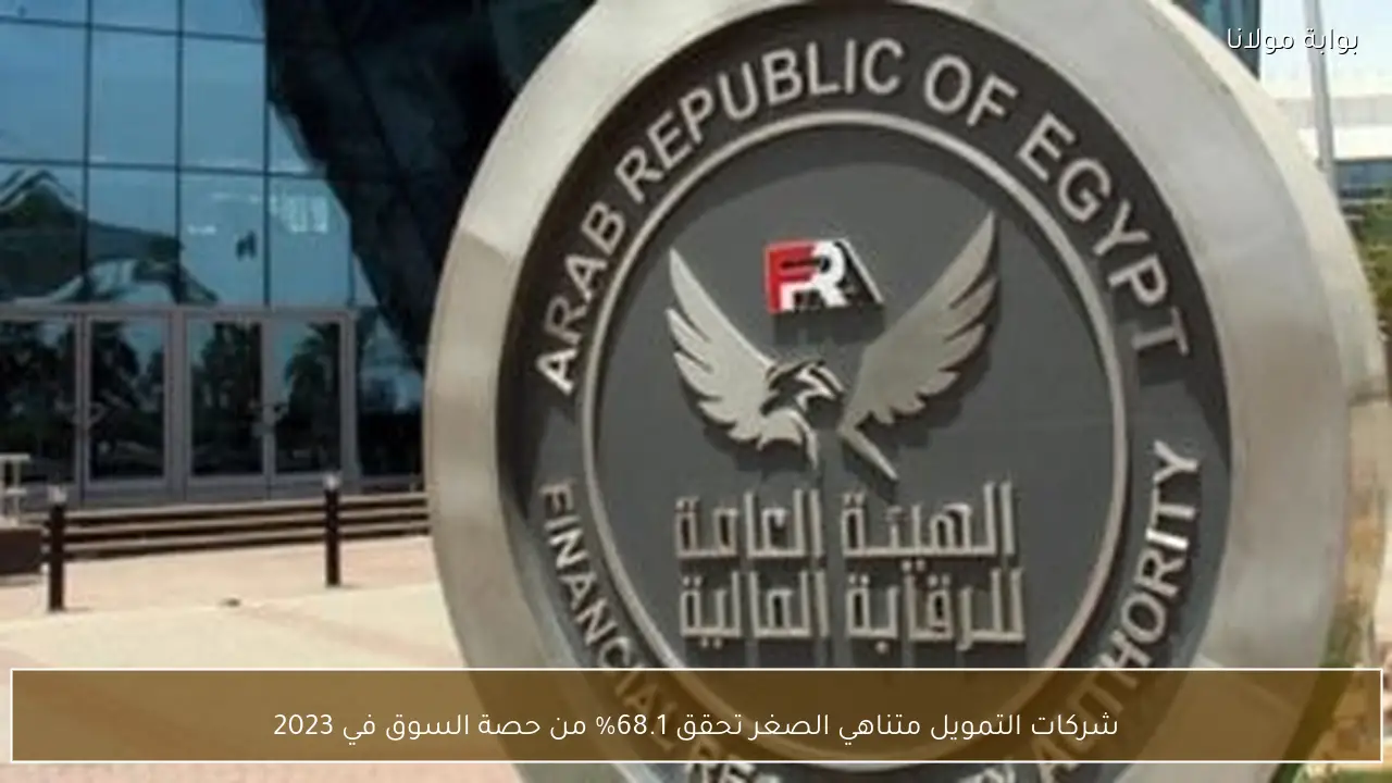 شركات التمويل متناهي الصغر تحقق 68.1% من حصة السوق في 2023