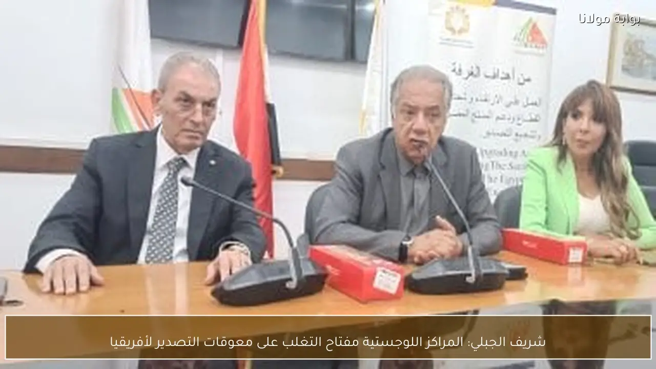 شريف الجبلي: المراكز اللوجستية مفتاح التغلب على معوقات التصدير لأفريقيا