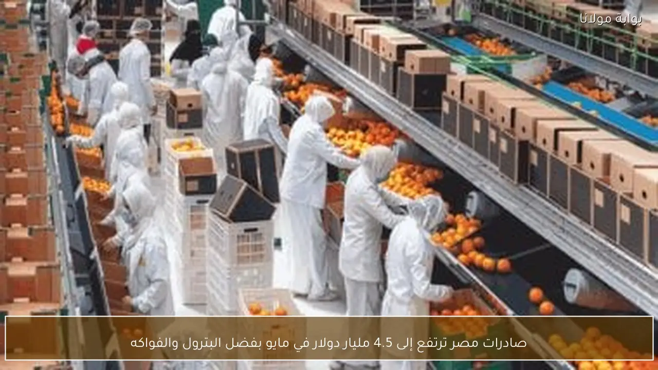 صادرات مصر ترتفع إلى 4.5 مليار دولار في مايو بفضل البترول والفواكه