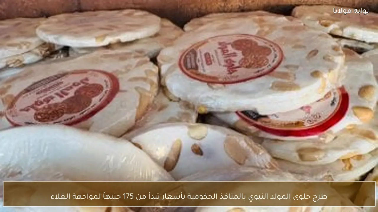 طرح حلوى المولد النبوي بالمنافذ الحكومية بأسعار تبدأ من 175 جنيهاً لمواجهة الغلاء