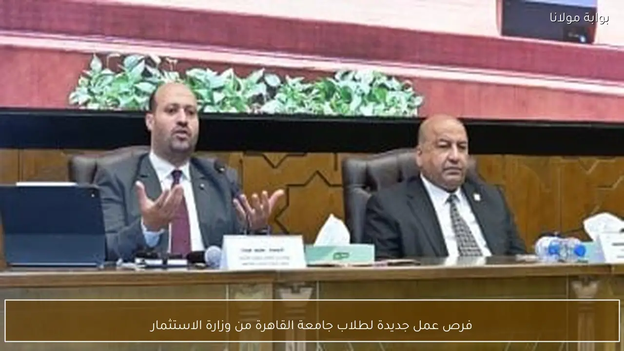 فرص عمل جديدة لطلاب جامعة القاهرة من وزارة الاستثمار