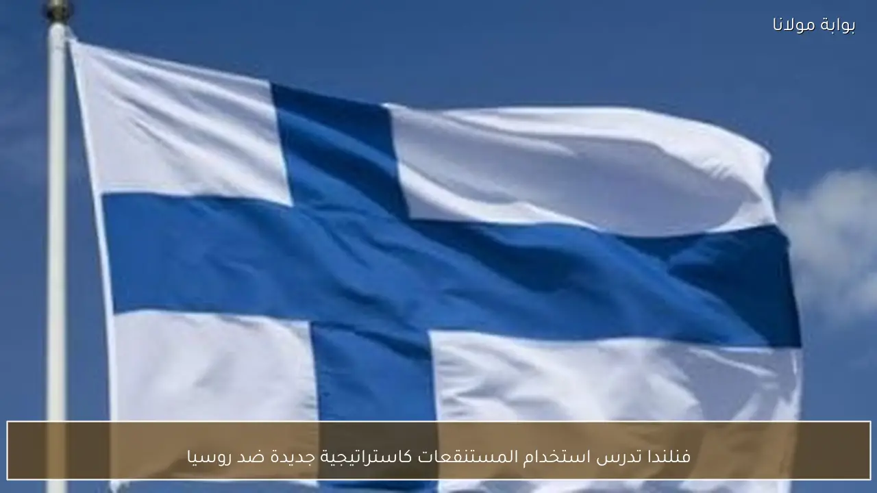 فنلندا تدرس استخدام المستنقعات كاستراتيجية جديدة ضد روسيا