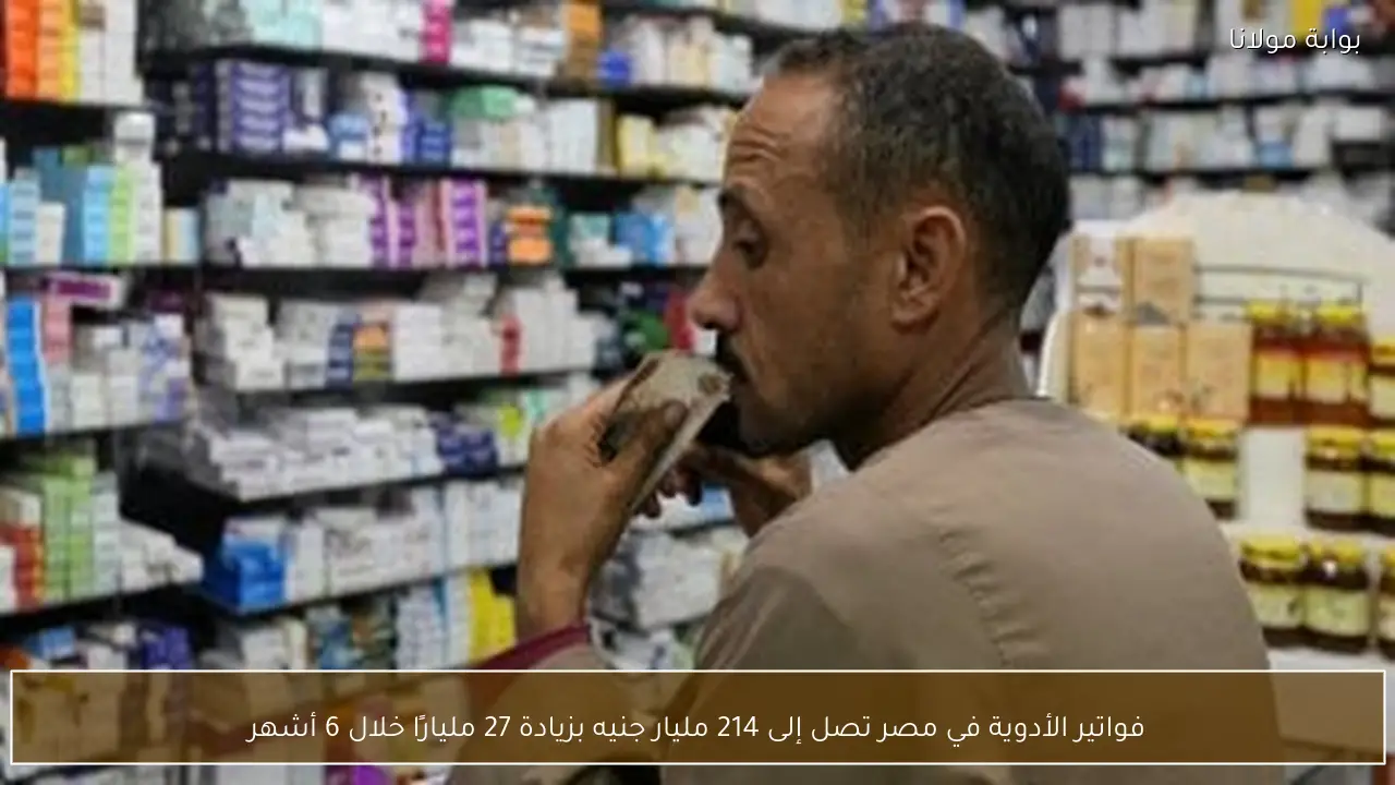 فواتير الأدوية في مصر تصل إلى 214 مليار جنيه بزيادة 27 مليارًا خلال 6 أشهر