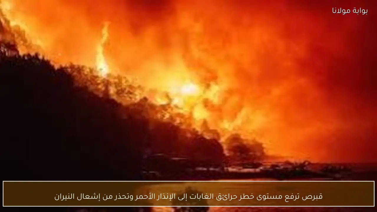 قبرص ترفع مستوى خطر حرائق الغابات إلى الإنذار الأحمر وتحذر من إشعال النيران