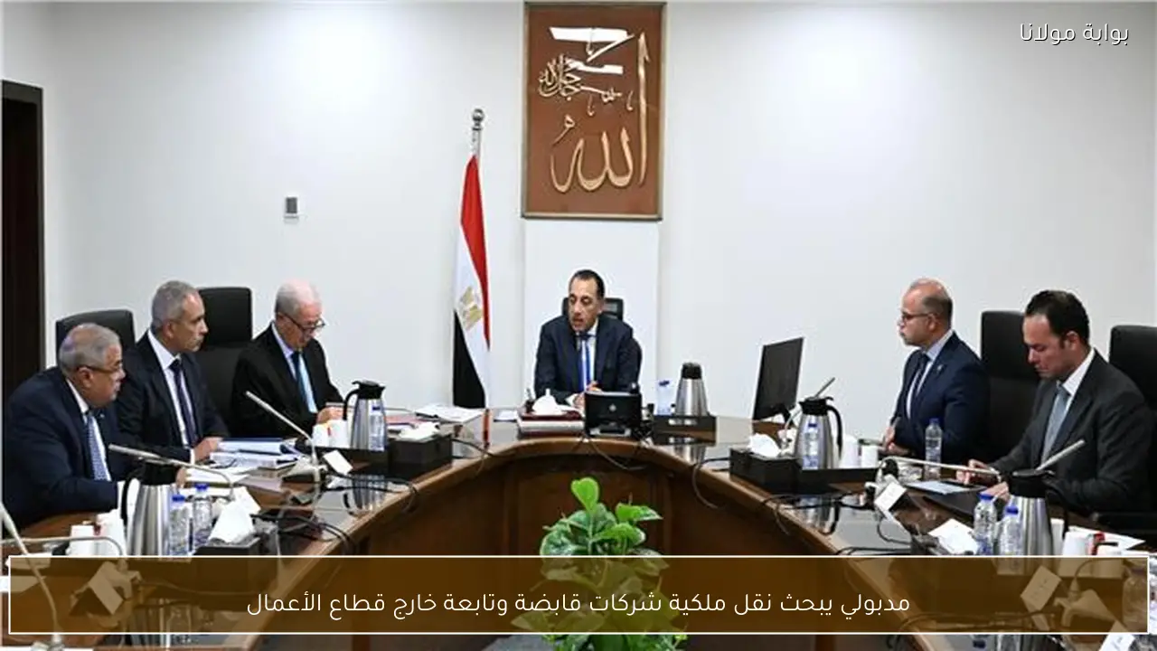 مدبولي يبحث نقل ملكية شركات قابضة وتابعة خارج قطاع الأعمال