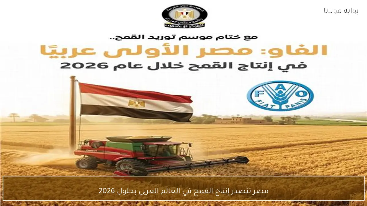 مصر تتصدر إنتاج القمح في العالم العربي بحلول 2026