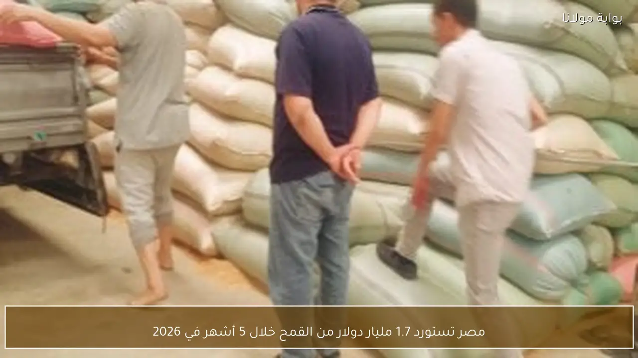 مصر تستورد 1.7 مليار دولار من القمح خلال 5 أشهر في 2026