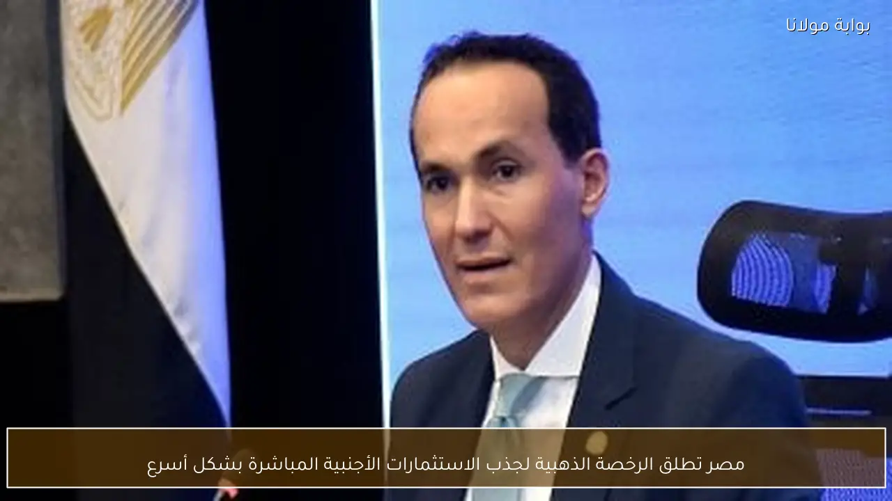 مصر تطلق الرخصة الذهبية لجذب الاستثمارات الأجنبية المباشرة بشكل أسرع