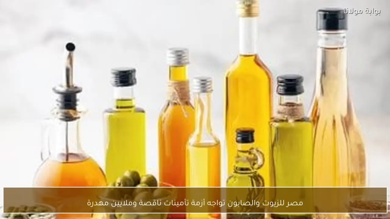 مصر للزيوت والصابون تواجه أزمة تأمينات ناقصة وملايين مهدرة