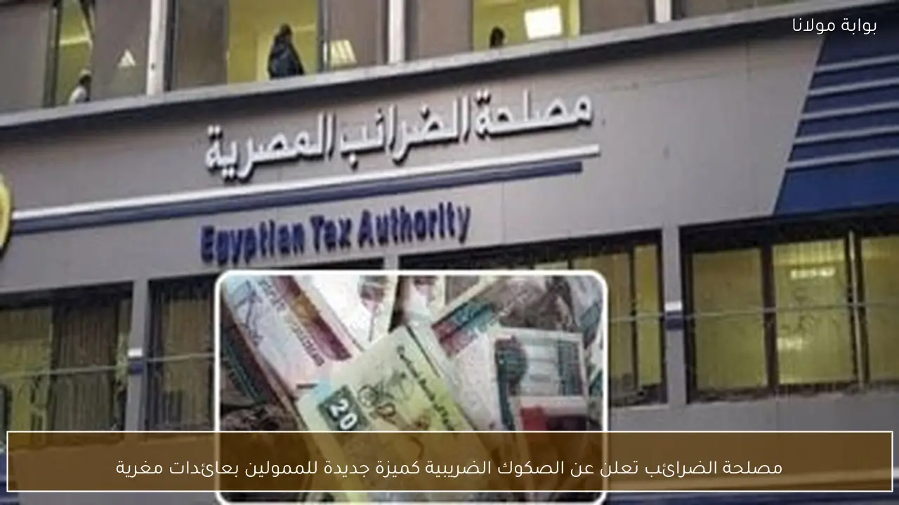 مصلحة الضرائب تعلن عن الصكوك الضريبية كميزة جديدة للممولين بعائدات مغرية