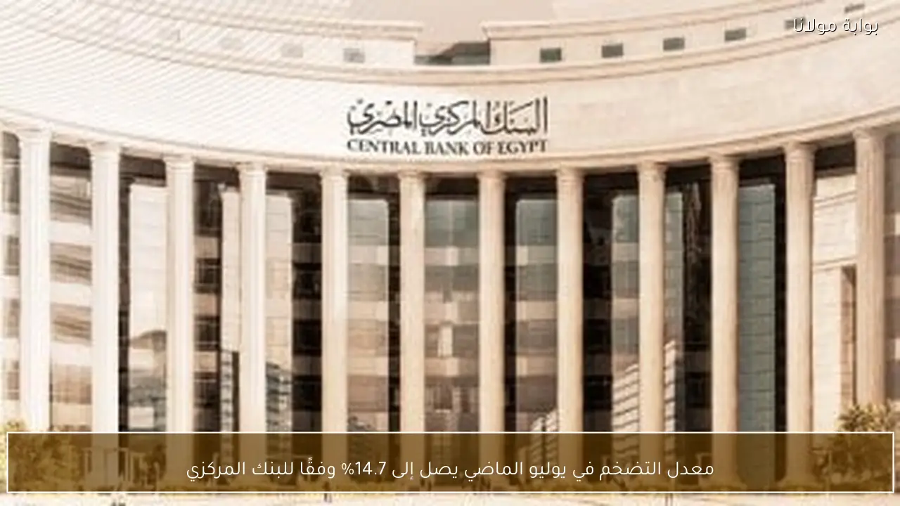 معدل التضخم في يوليو الماضي يصل إلى 14.7% وفقًا للبنك المركزي