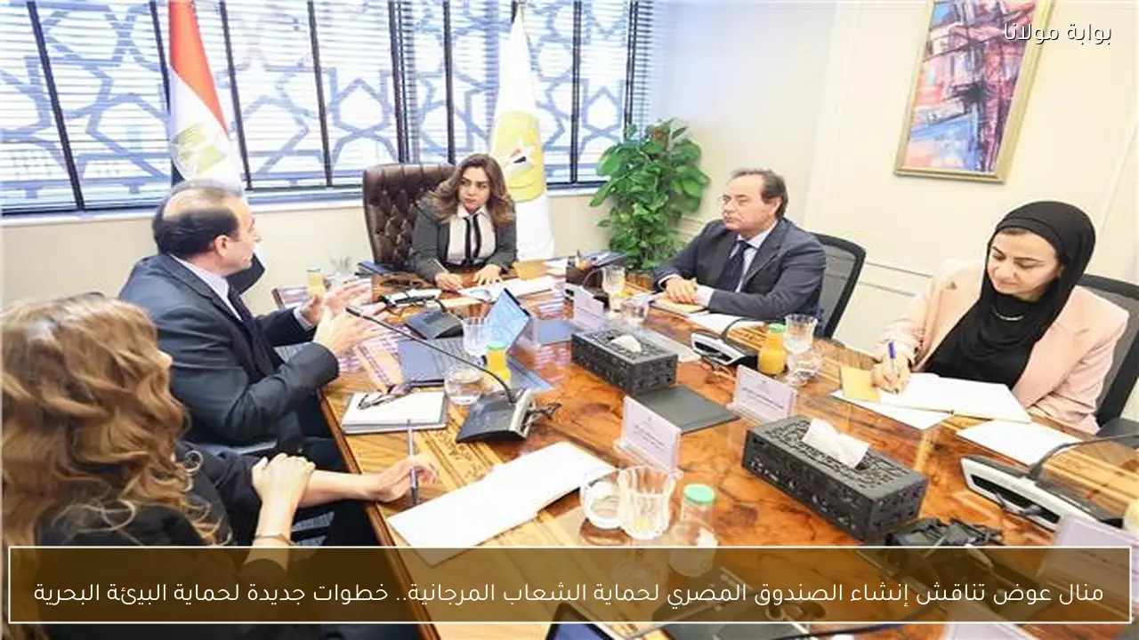 منال عوض تناقش إنشاء الصندوق المصري لحماية الشعاب المرجانية.. خطوات جديدة لحماية البيئة البحرية