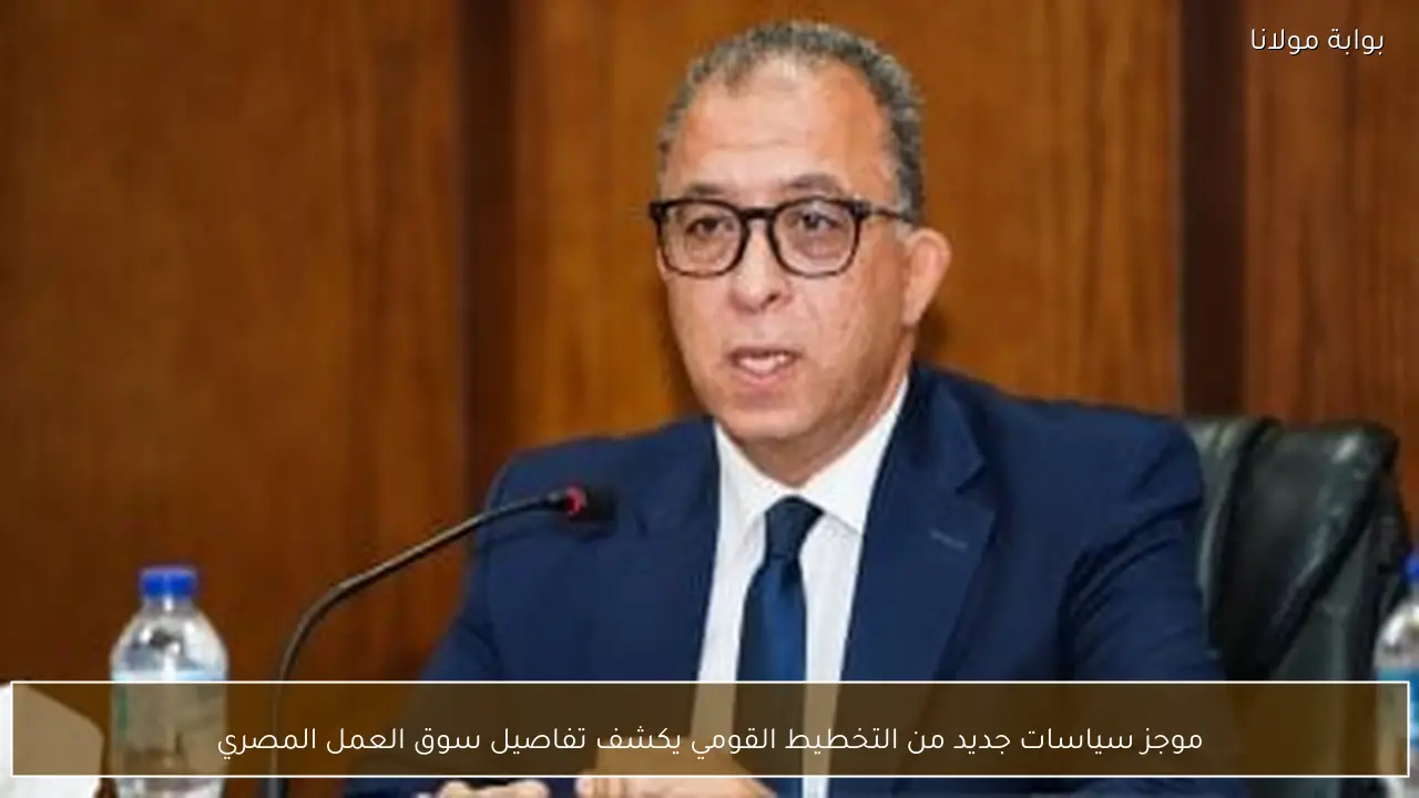 موجز سياسات جديد من التخطيط القومي يكشف تفاصيل سوق العمل المصري