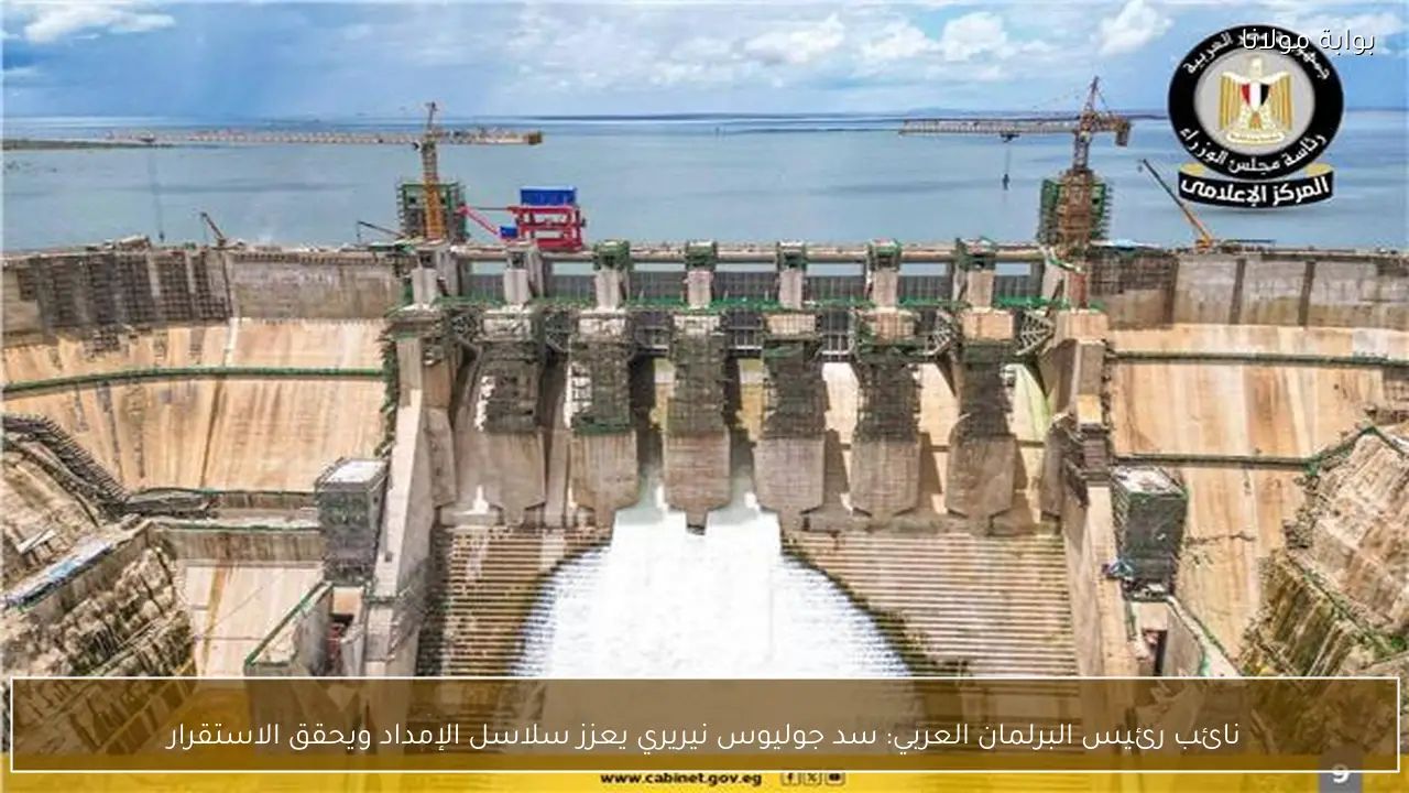 نائب رئيس البرلمان العربي: سد جوليوس نيريري يعزز سلاسل الإمداد ويحقق الاستقرار