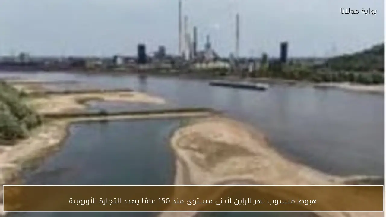 هبوط منسوب نهر الراين لأدنى مستوى منذ 150 عامًا يهدد التجارة الأوروبية