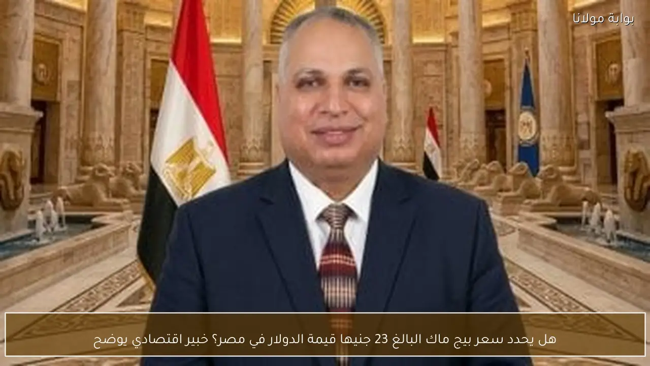هل يحدد سعر بيج ماك البالغ 23 جنيها قيمة الدولار في مصر؟ خبير اقتصادي يوضح