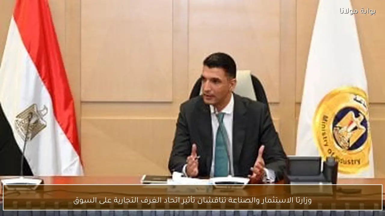 وزارتا الاستثمار والصناعة تناقشان تأثير اتحاد الغرف التجارية على السوق
