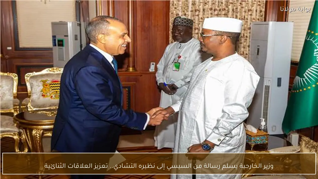 وزير الخارجية يسلم رسالة من السيسي إلى نظيره التشادي.. تعزيز العلاقات الثنائية