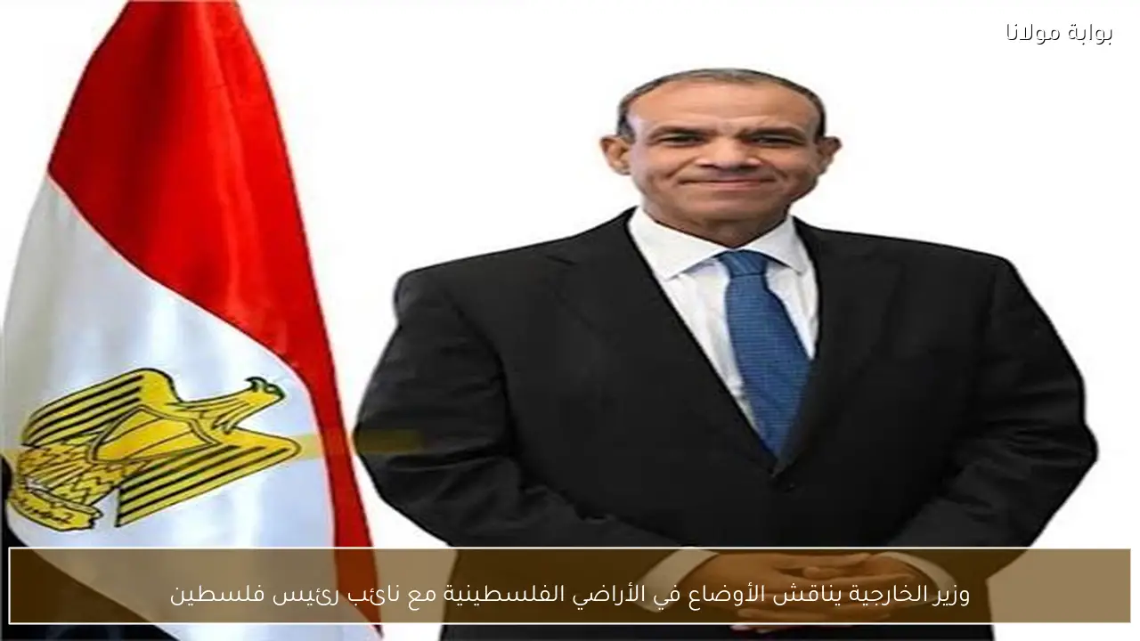 وزير الخارجية يناقش الأوضاع في الأراضي الفلسطينية مع نائب رئيس فلسطين