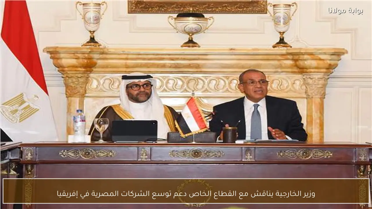 وزير الخارجية يناقش مع القطاع الخاص دعم توسع الشركات المصرية في إفريقيا