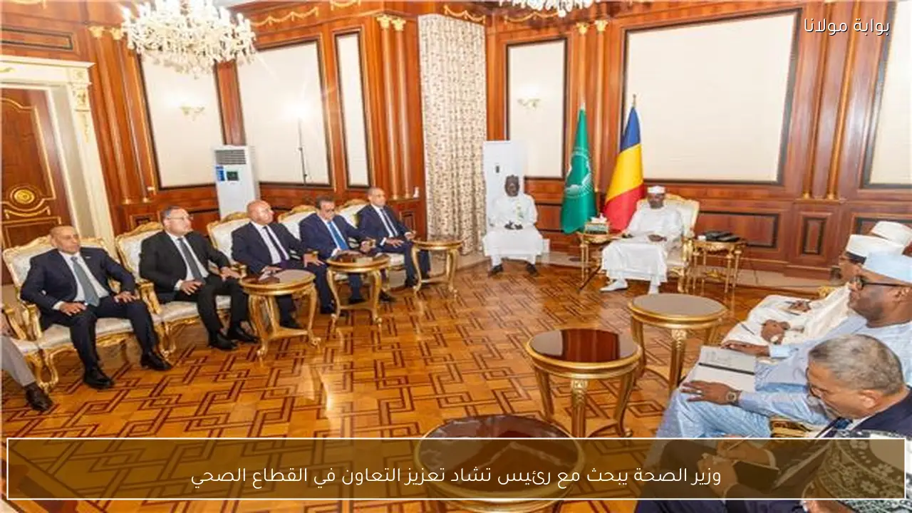 وزير الصحة يبحث مع رئيس تشاد تعزيز التعاون في القطاع الصحي