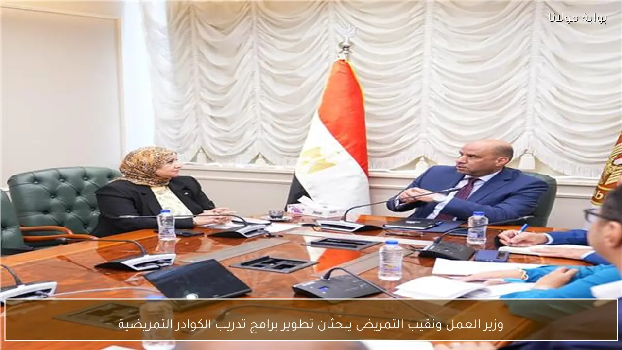 وزير العمل ونقيب التمريض يبحثان تطوير برامج تدريب الكوادر التمريضية