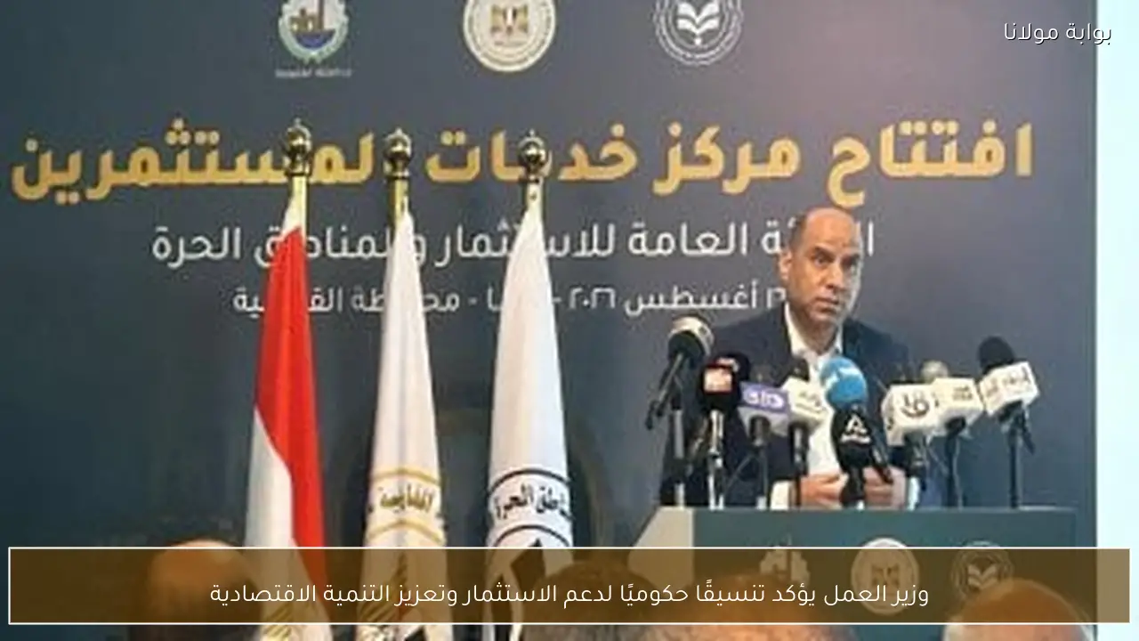وزير العمل يؤكد تنسيقًا حكوميًا لدعم الاستثمار وتعزيز التنمية الاقتصادية