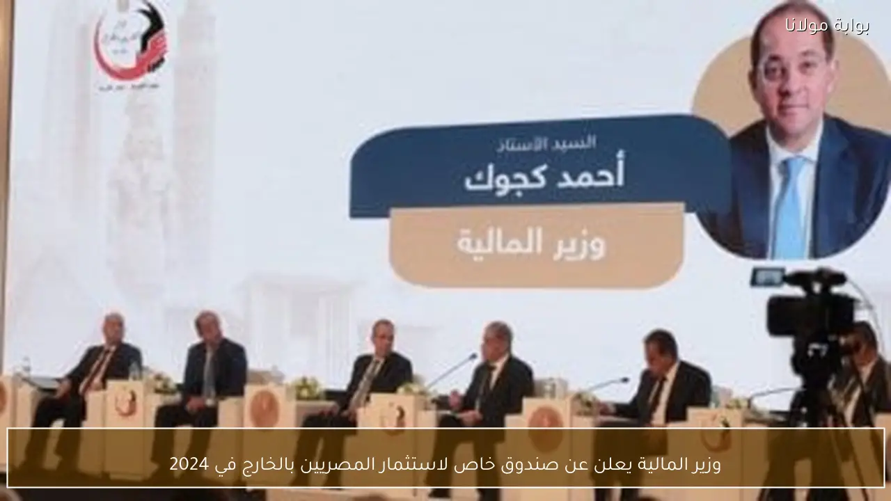 وزير المالية يعلن عن صندوق خاص لاستثمار المصريين بالخارج في 2024