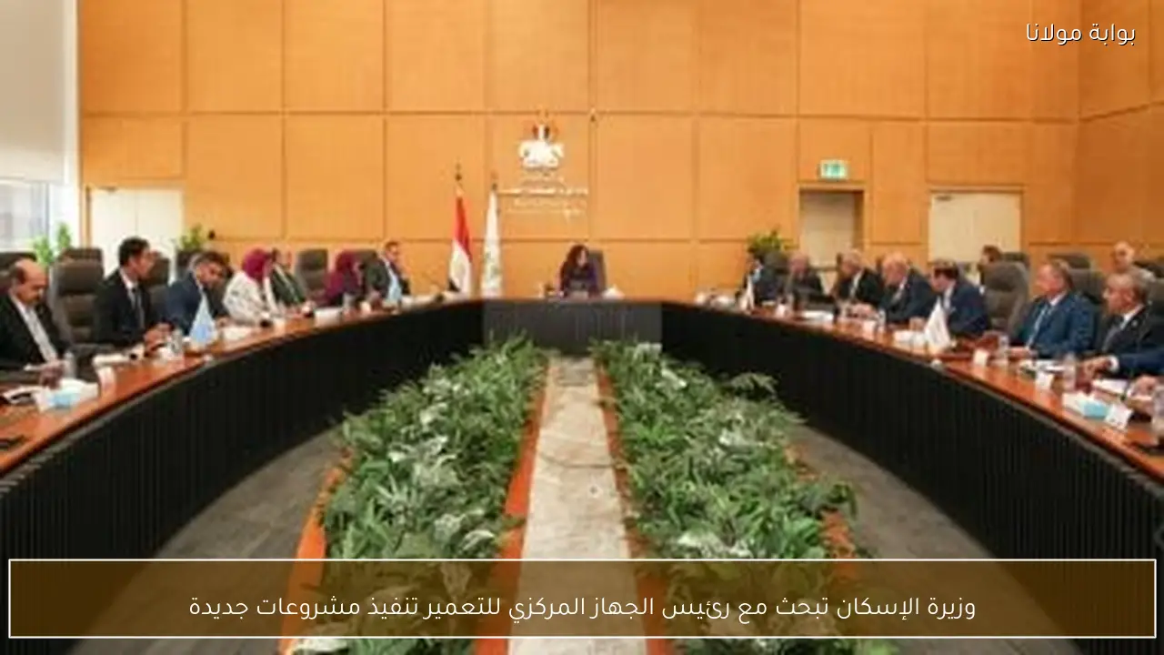 وزيرة الإسكان تبحث مع رئيس الجهاز المركزي للتعمير تنفيذ مشروعات جديدة