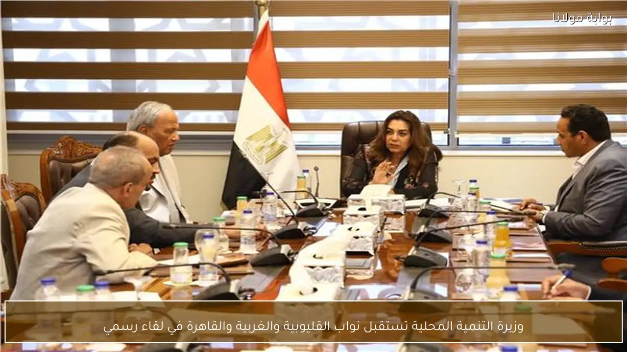 وزيرة التنمية المحلية تستقبل نواب القليوبية والغربية والقاهرة في لقاء رسمي