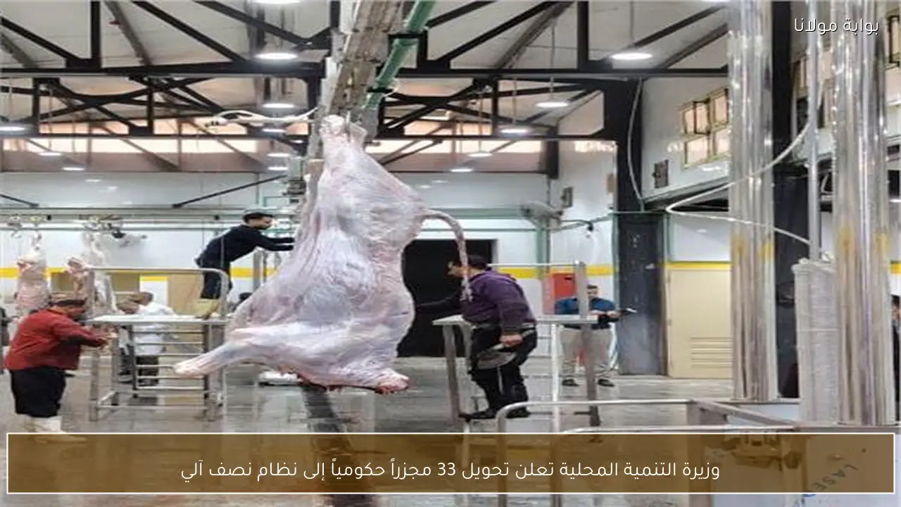 وزيرة التنمية المحلية تعلن تحويل 33 مجزراً حكومياً إلى نظام نصف آلي
