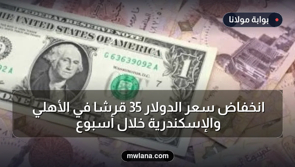 انخفاض سعر الدولار 35 قرشًا في الأهلي والإسكندرية خلال أسبوع