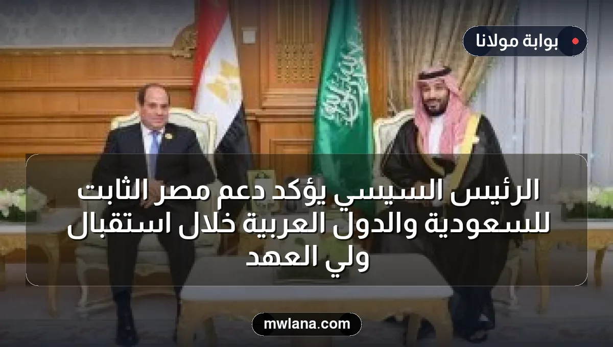 الرئيس السيسي يؤكد دعم مصر الثابت للسعودية والدول العربية خلال استقبال ولي العهد