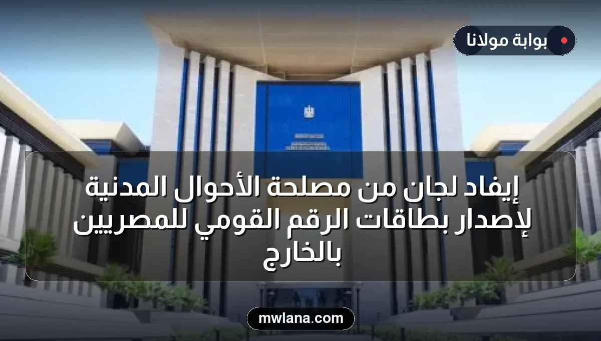 إيفاد لجان من مصلحة الأحوال المدنية لإصدار بطاقات الرقم القومي للمصريين بالخارج