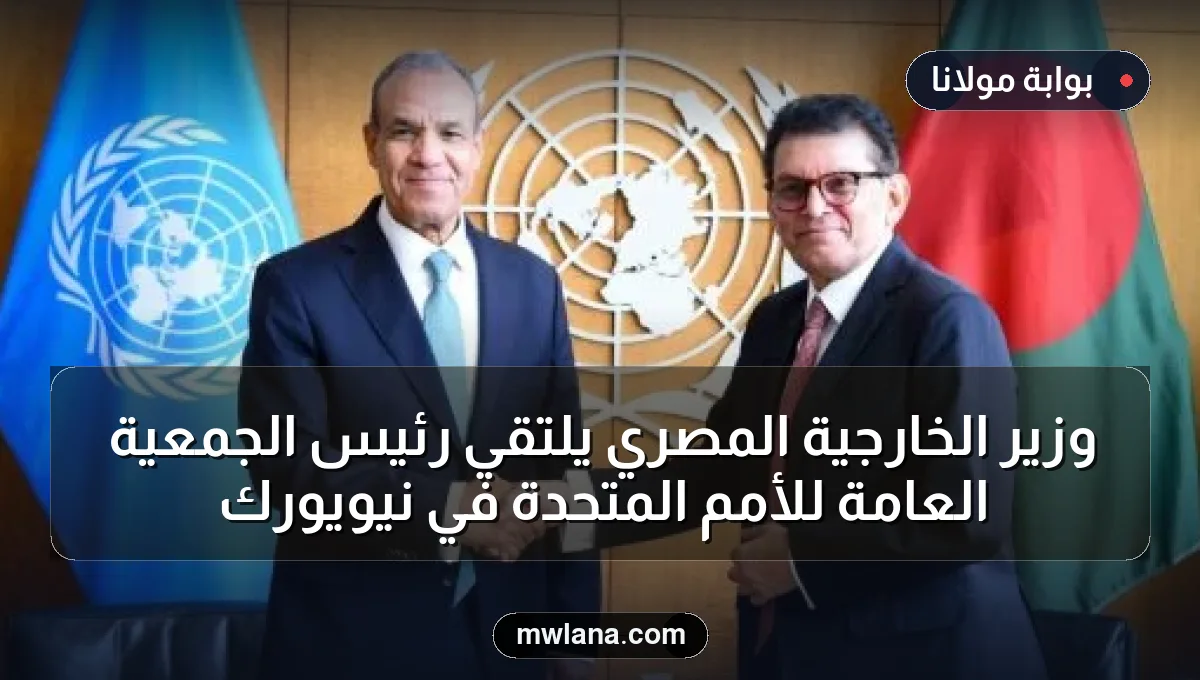 وزير الخارجية المصري يلتقي رئيس الجمعية العامة للأمم المتحدة في نيويورك