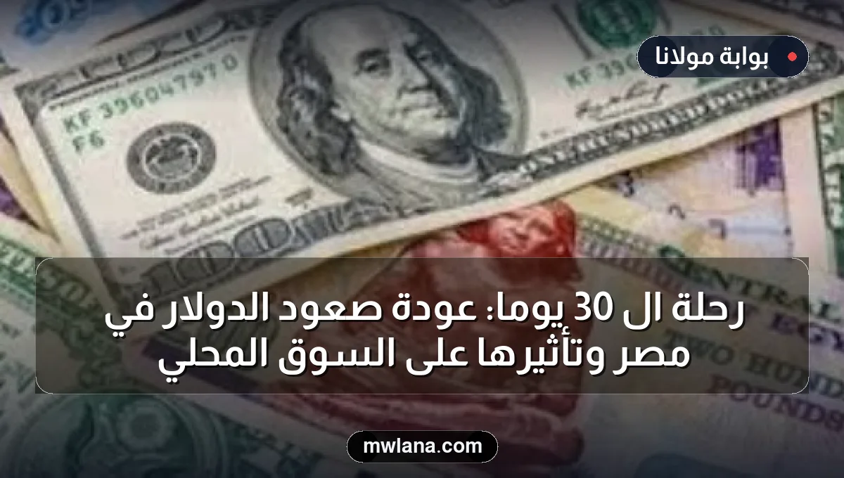 رحلة الـ 30 يوماً: عودة صعود الدولار في مصر وتأثيرها على السوق المحلي