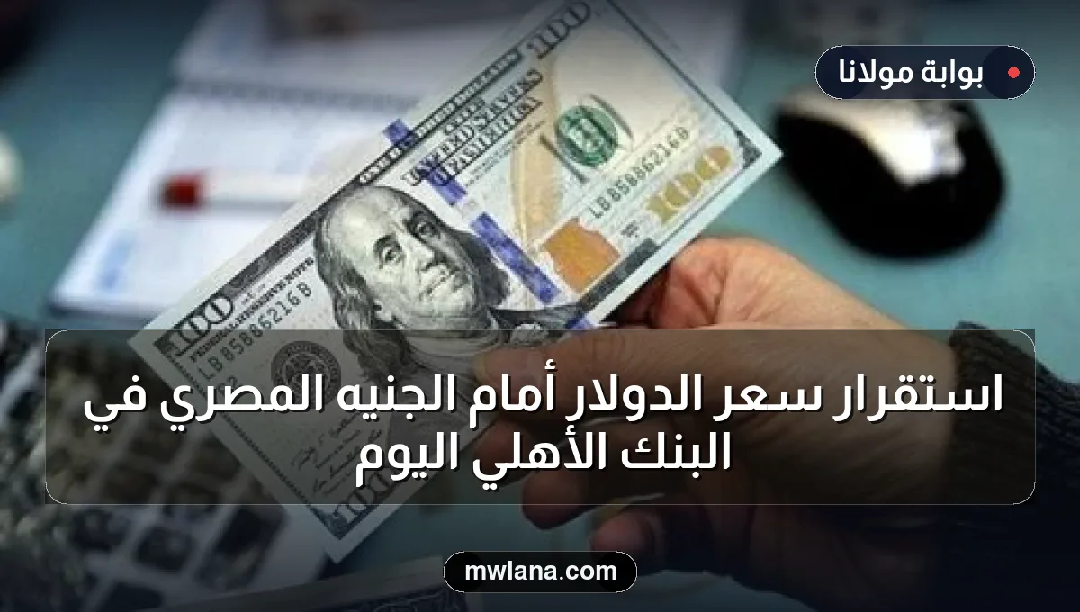 استقرار سعر الدولار أمام الجنيه المصري في البنك الأهلي اليوم
