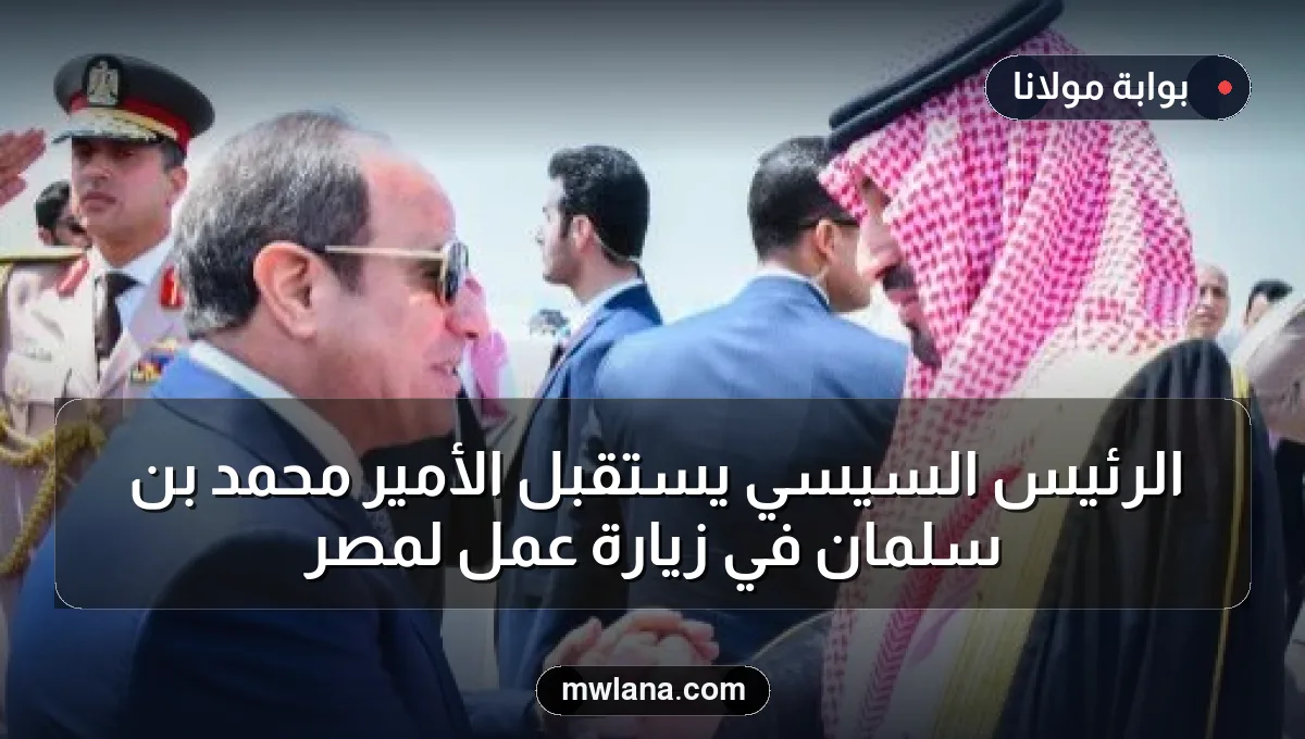 الرئيس السيسي يستقبل الأمير محمد بن سلمان في زيارة عمل لمصر