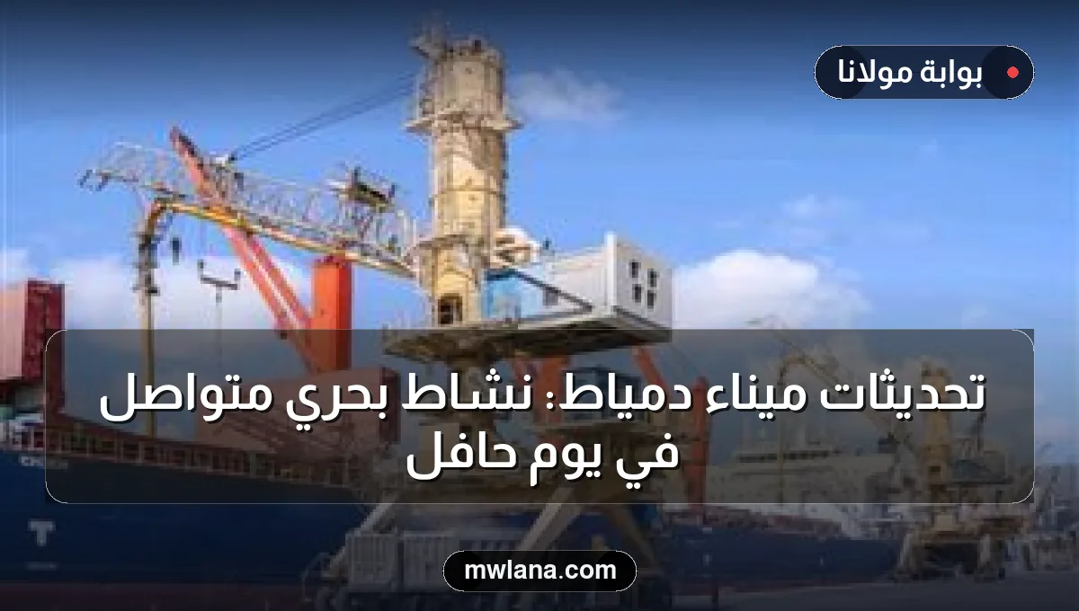 تحديثات ميناء دمياط: نشاط بحري متواصل في يوم حافل