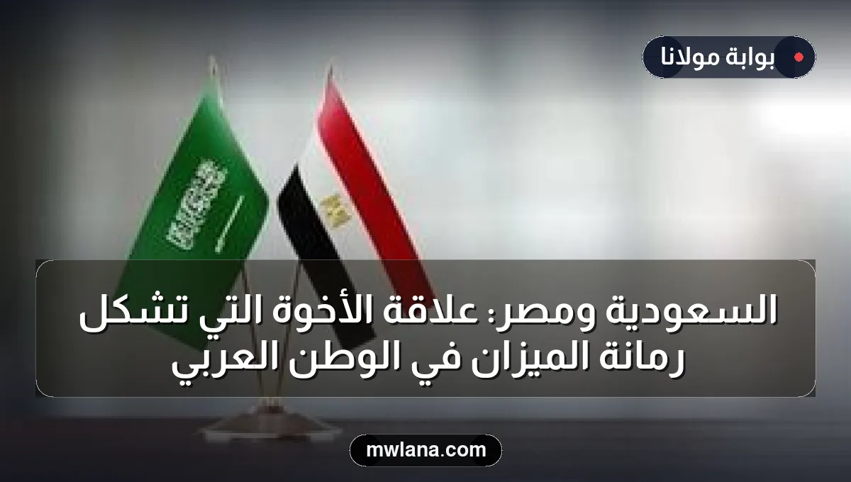 السعودية ومصر: علاقة الأخوة التي تشكل رمانة الميزان في الوطن العربي