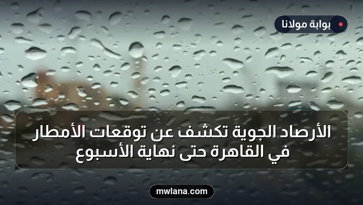 الأرصاد الجوية تكشف عن توقعات الأمطار في القاهرة حتى نهاية الأسبوع