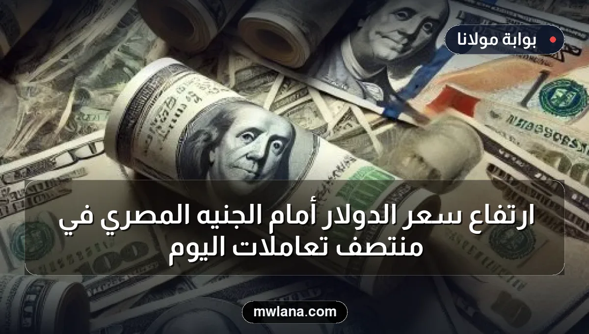 ارتفاع سعر الدولار أمام الجنيه المصري في منتصف تعاملات اليوم
